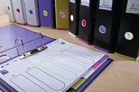 OXFORD MyColour tabbladen, formaat A4, uit gekleurde PP, 11-gaatsperforatie, 12 tabs-1
