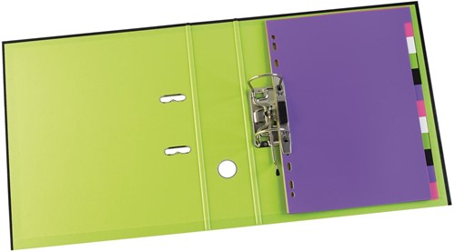OXFORD MyColour tabbladen, formaat A4, uit gekleurde PP, 11-gaatsperforatie, 12 tabs-3
