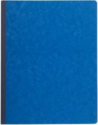 Exacompta registers, ft 32 x 25 cm, gelijnd, gefolieerd, 80 bladzijden, geassorteerde kleuren