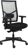 Sitwise Comfort Mesh NPR 1813