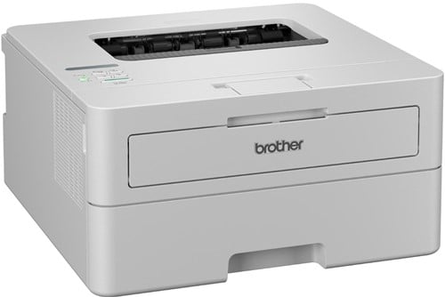 Brother zwart-wit laserprinter HL-L2865DW