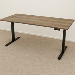 Deskwise Home Zit Sta Bureau dubbele motor 160x80